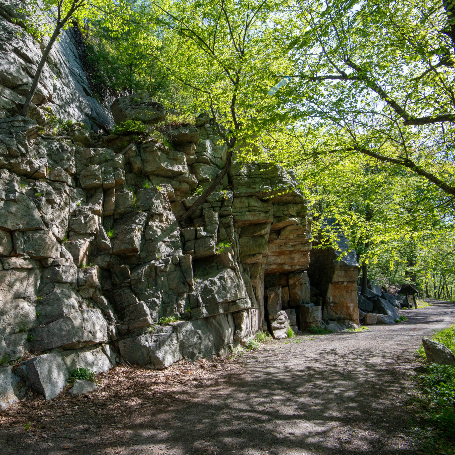 Lemon Squeeze Scramble - Weekend Hikes - Mohonk Preserve