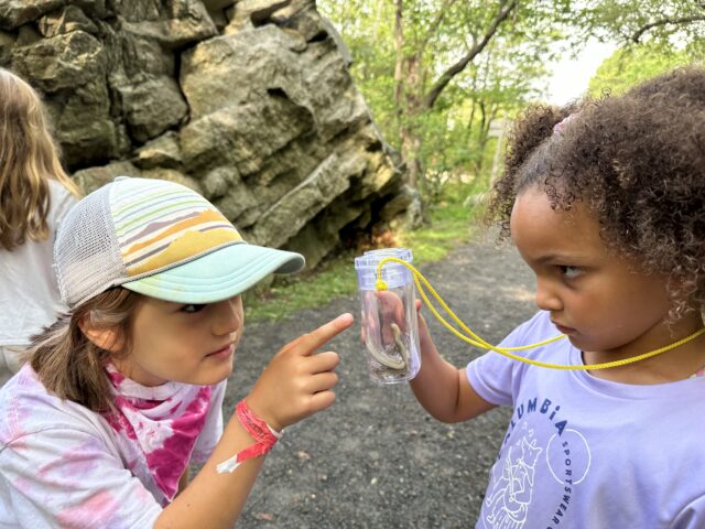 Campers looking at creatures in a bog box. 