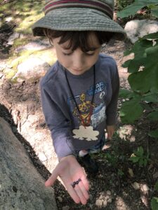 Camper holding an insect 