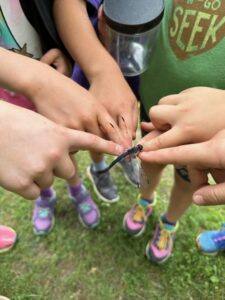 Campers with dragonfly posed on their fingers