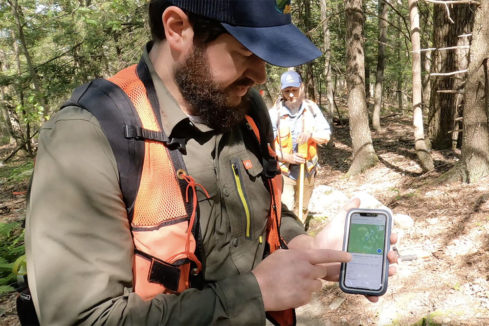 Two land protection staff members reviewing ArcGIS technology on a smart phone in a forested setting